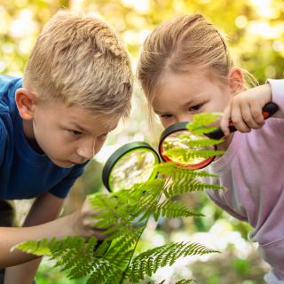 Zajęcia dotyczące zdrowego odżywiania i ekologicznych produktów